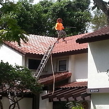 Eco-Roof-Cleaning-Performed-In-Miami-FL 1
