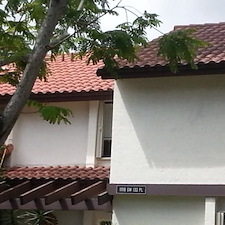 Eco-Roof-Cleaning-Performed-In-Miami-FL 2